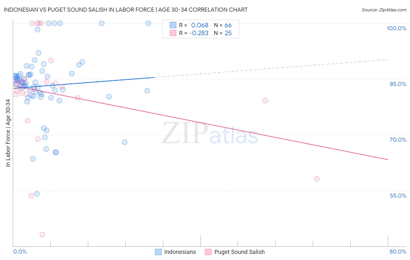 Indonesian vs Puget Sound Salish In Labor Force | Age 30-34