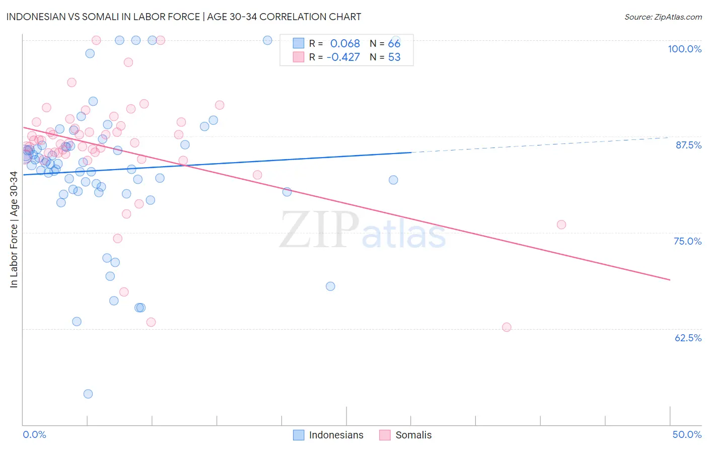 Indonesian vs Somali In Labor Force | Age 30-34