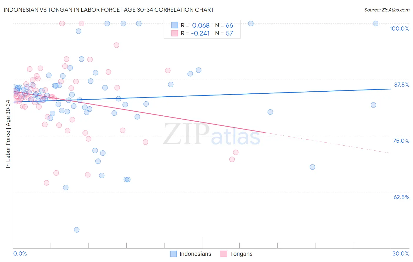 Indonesian vs Tongan In Labor Force | Age 30-34