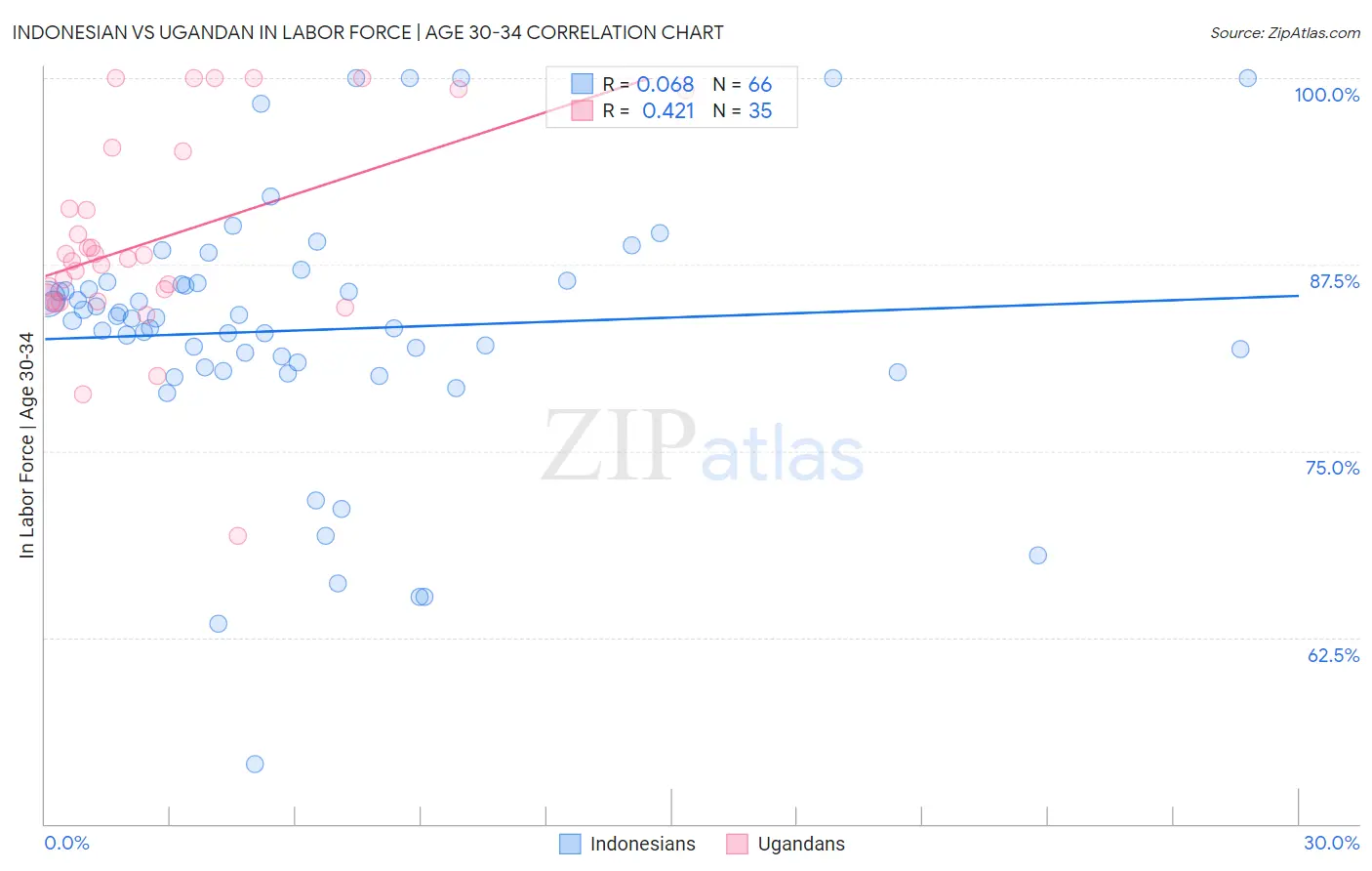 Indonesian vs Ugandan In Labor Force | Age 30-34