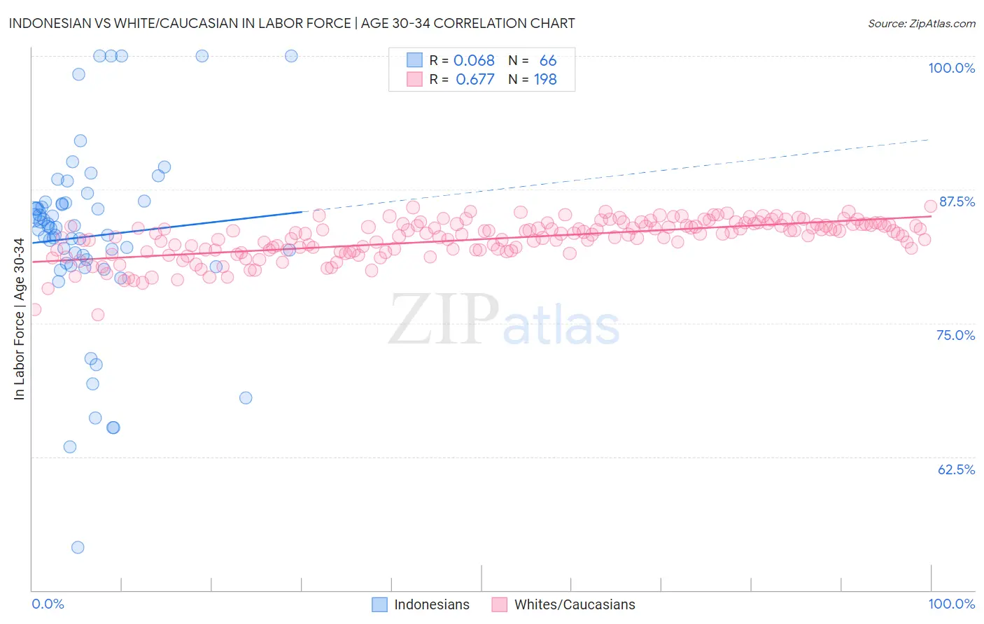 Indonesian vs White/Caucasian In Labor Force | Age 30-34