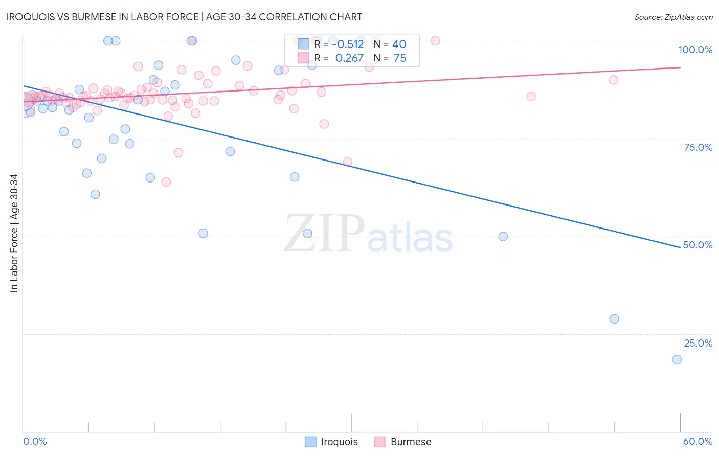 Iroquois vs Burmese In Labor Force | Age 30-34