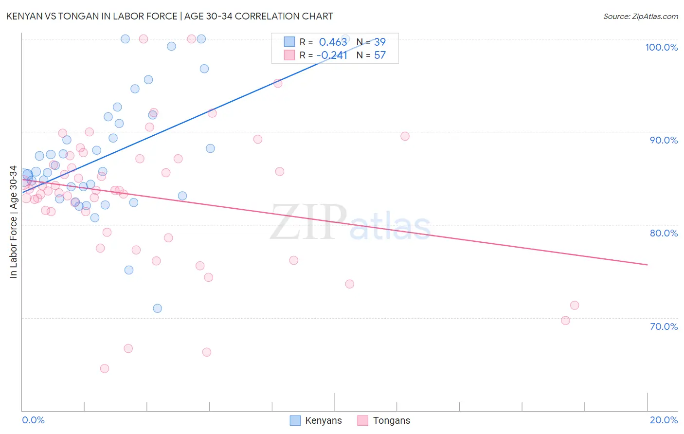 Kenyan vs Tongan In Labor Force | Age 30-34