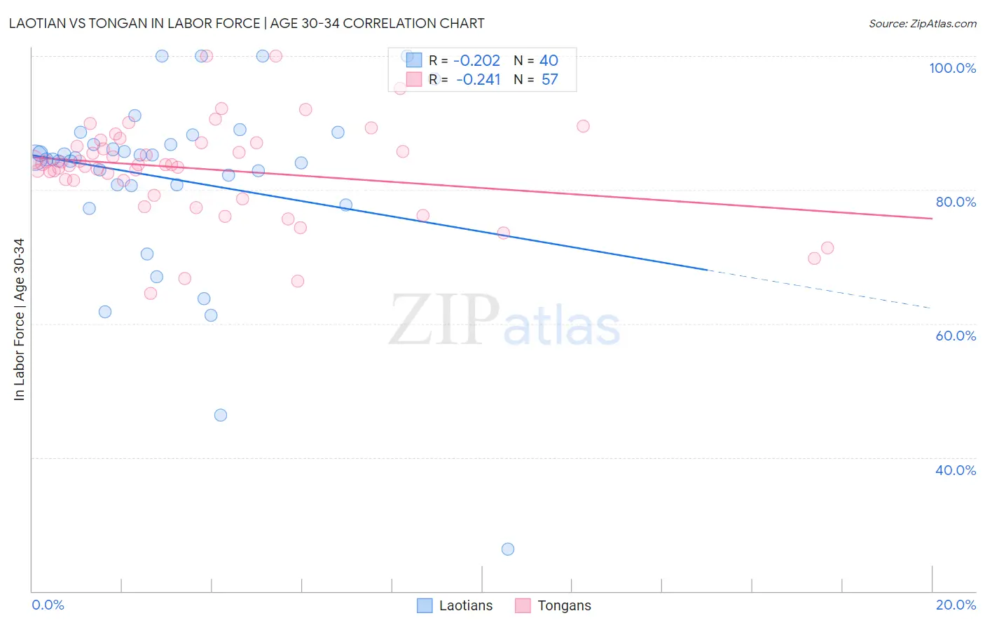 Laotian vs Tongan In Labor Force | Age 30-34