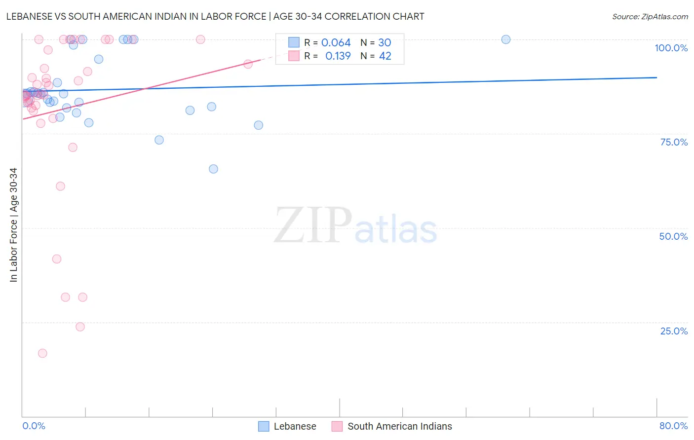 Lebanese vs South American Indian In Labor Force | Age 30-34