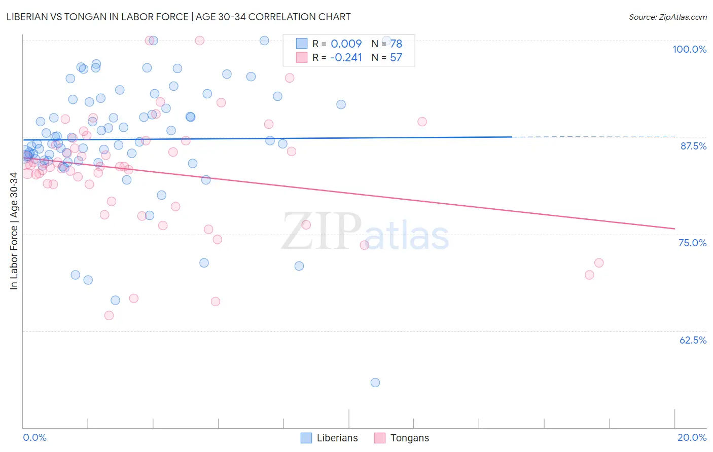 Liberian vs Tongan In Labor Force | Age 30-34