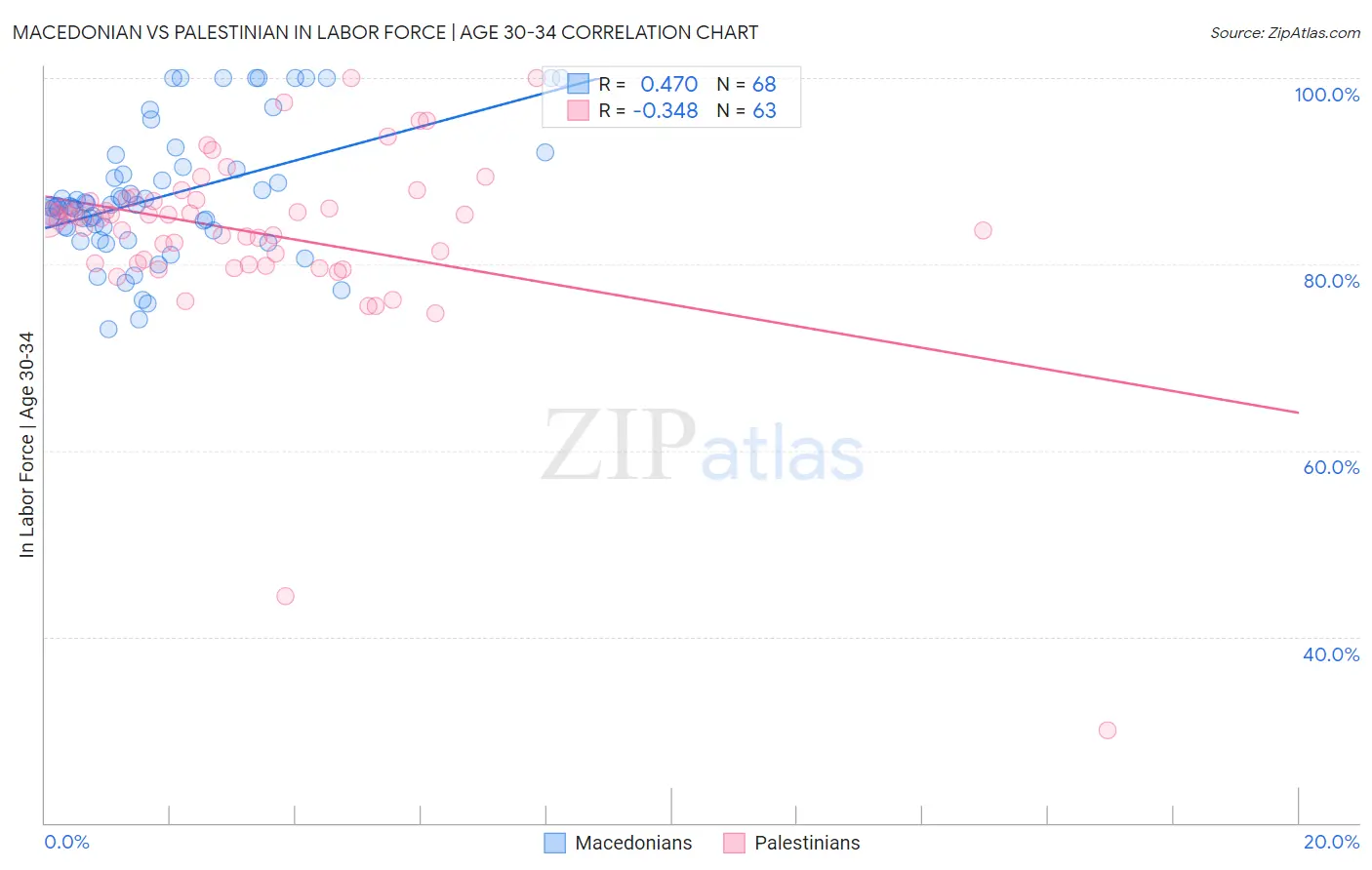 Macedonian vs Palestinian In Labor Force | Age 30-34