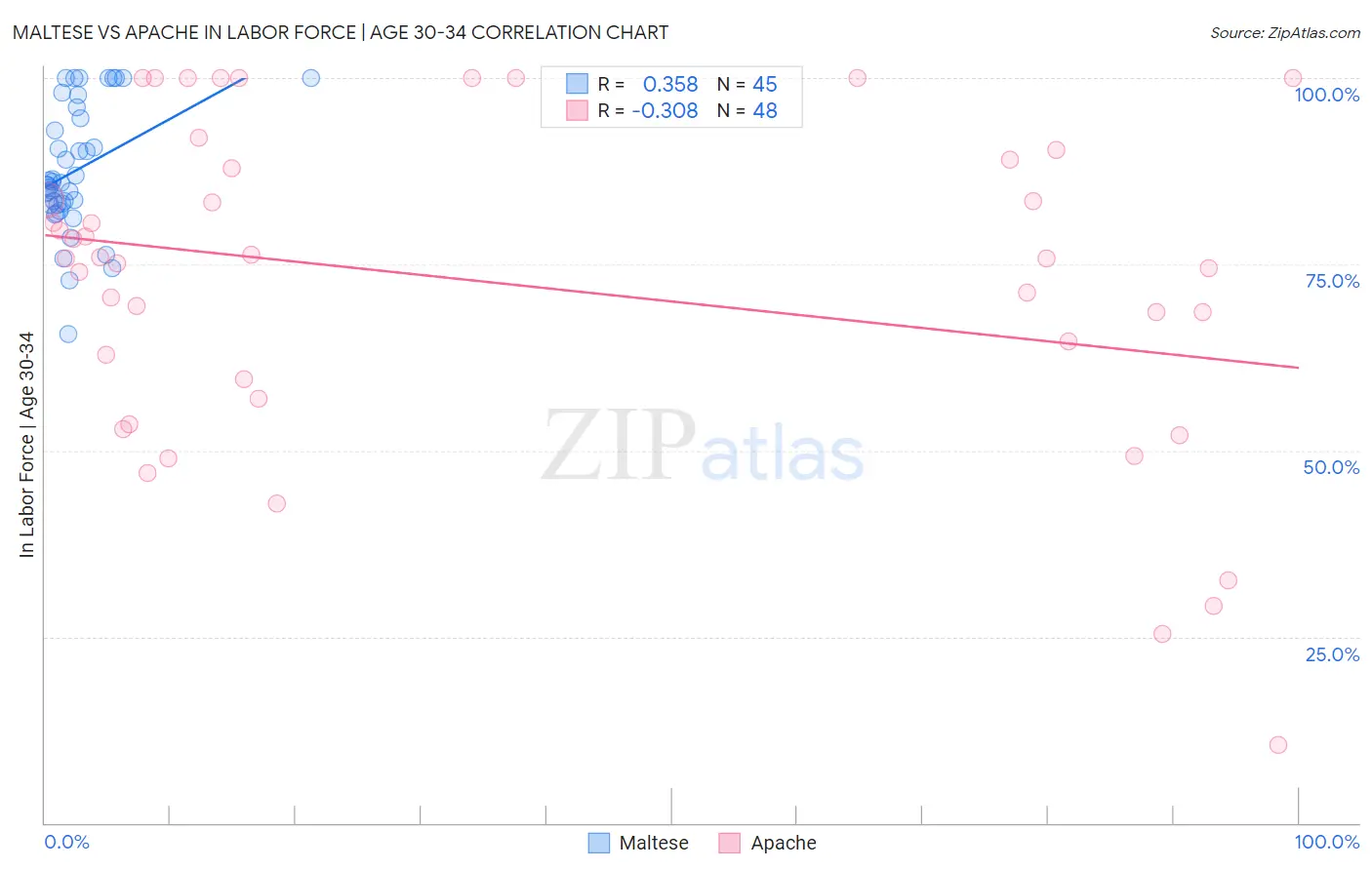 Maltese vs Apache In Labor Force | Age 30-34