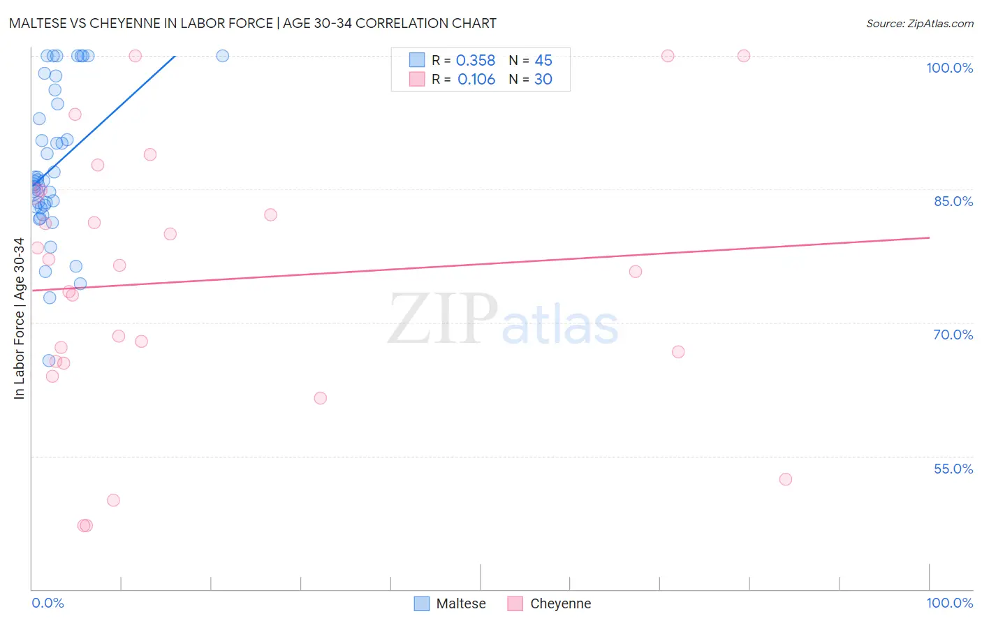 Maltese vs Cheyenne In Labor Force | Age 30-34