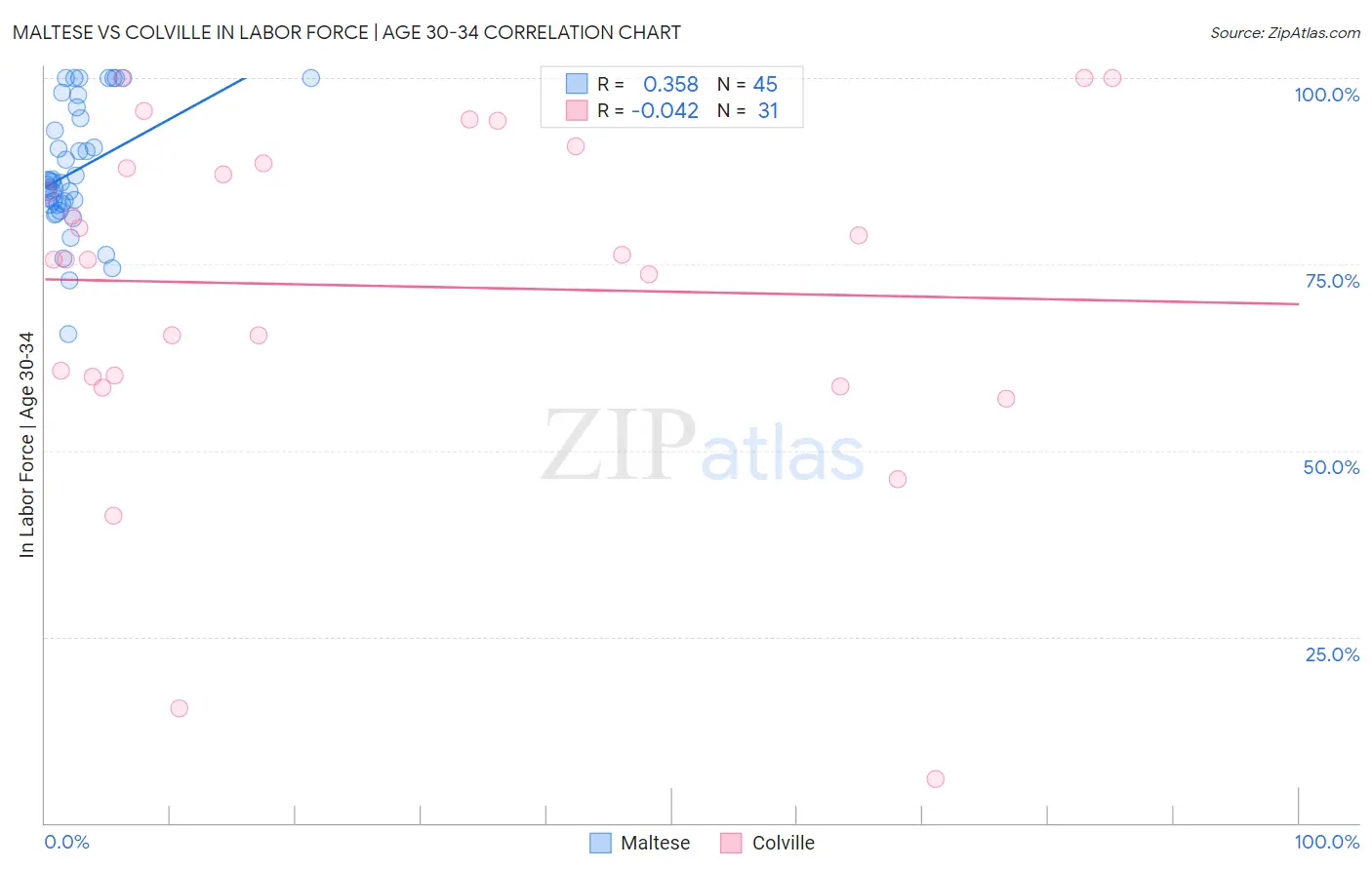 Maltese vs Colville In Labor Force | Age 30-34