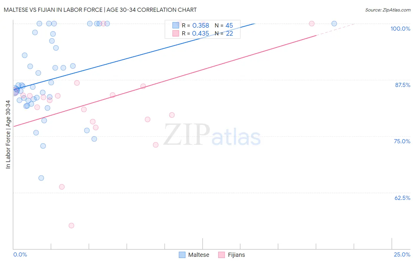 Maltese vs Fijian In Labor Force | Age 30-34