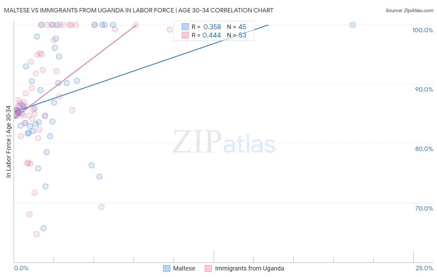 Maltese vs Immigrants from Uganda In Labor Force | Age 30-34