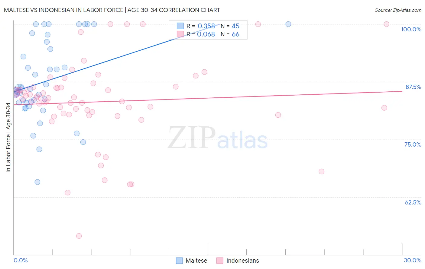 Maltese vs Indonesian In Labor Force | Age 30-34