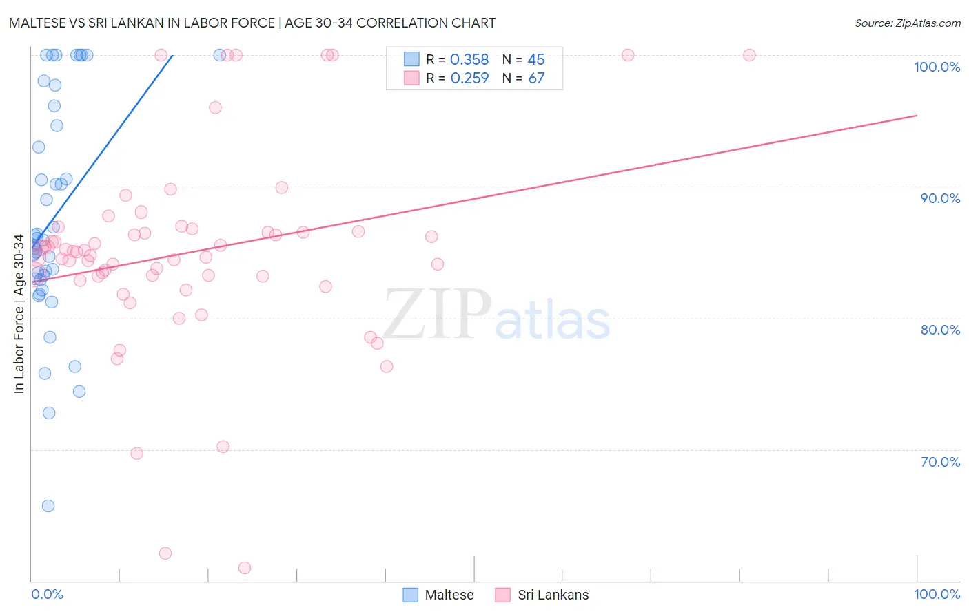 Maltese vs Sri Lankan In Labor Force | Age 30-34