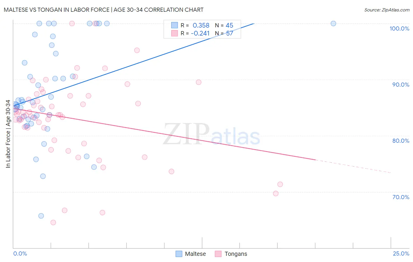 Maltese vs Tongan In Labor Force | Age 30-34