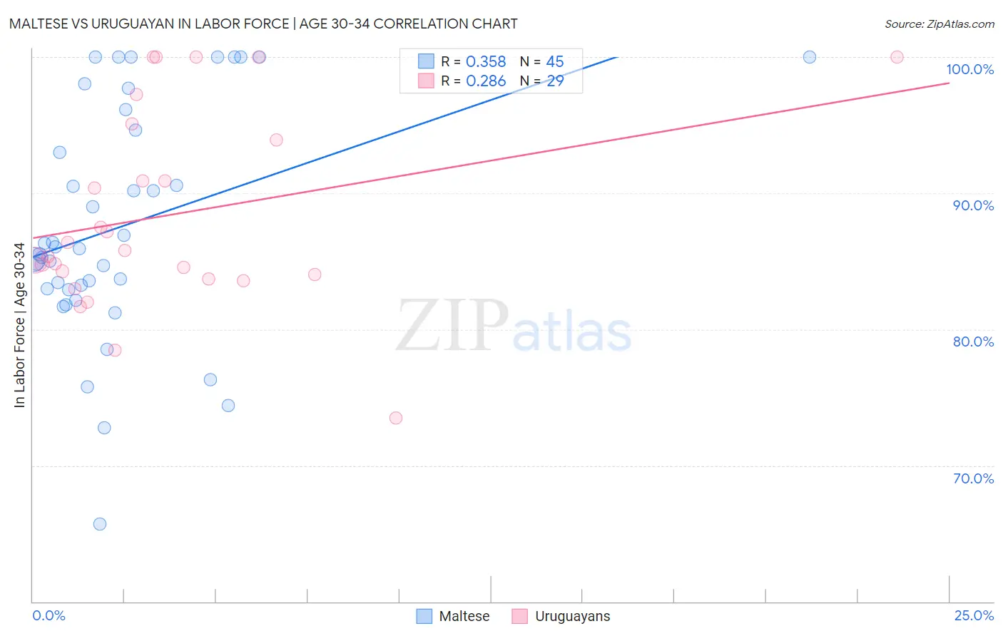 Maltese vs Uruguayan In Labor Force | Age 30-34