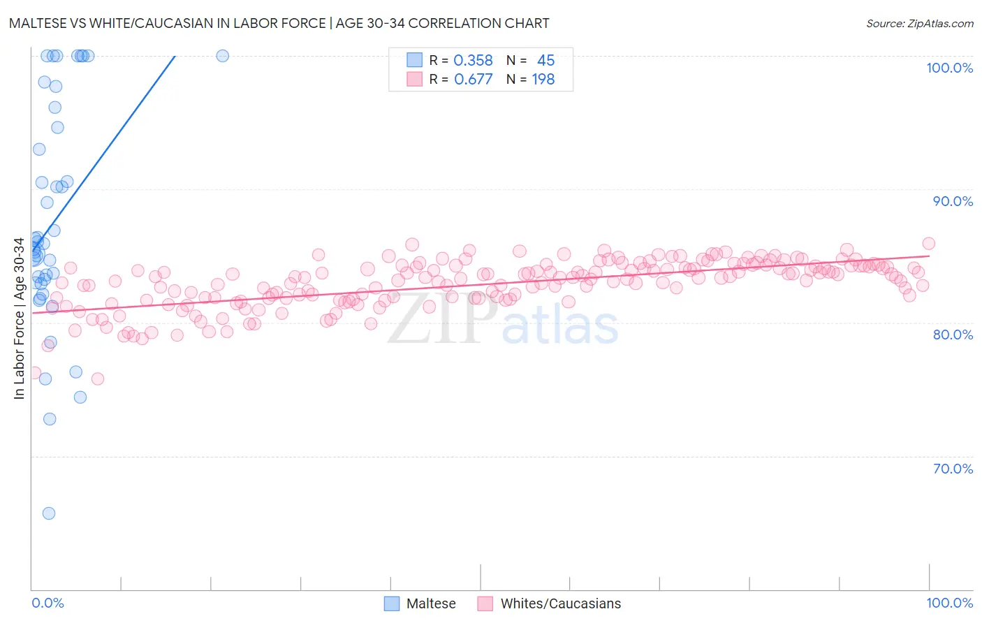 Maltese vs White/Caucasian In Labor Force | Age 30-34