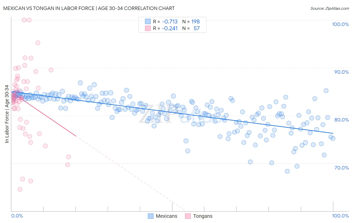 Mexican vs Tongan In Labor Force | Age 30-34