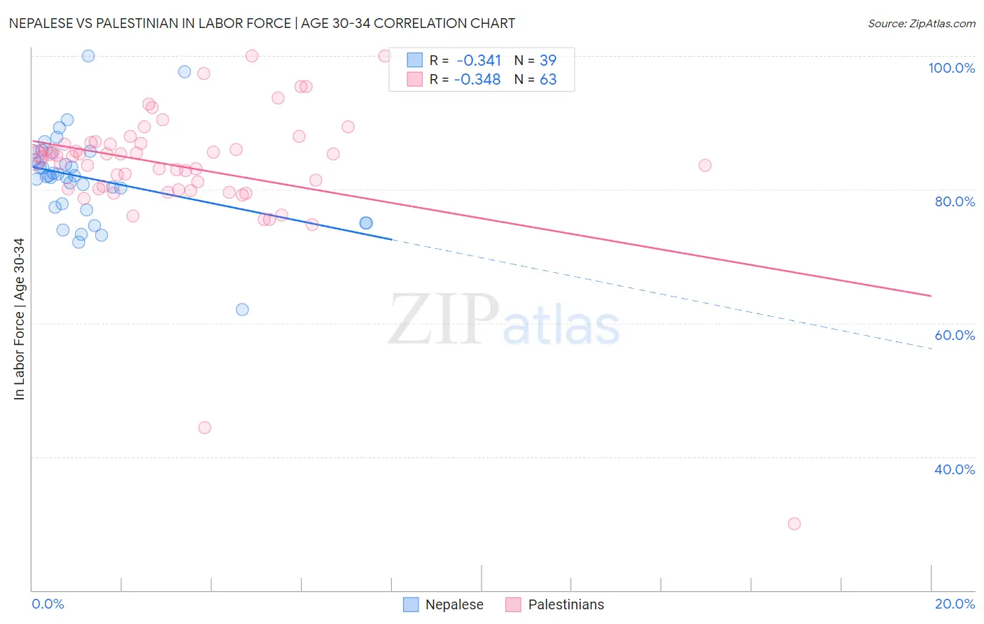 Nepalese vs Palestinian In Labor Force | Age 30-34