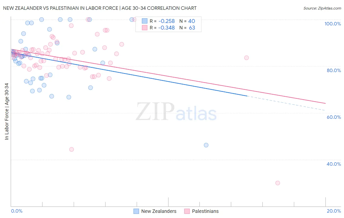 New Zealander vs Palestinian In Labor Force | Age 30-34