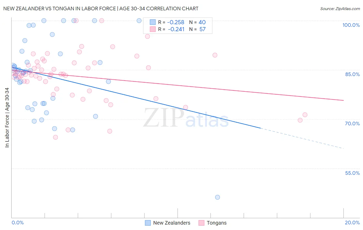 New Zealander vs Tongan In Labor Force | Age 30-34