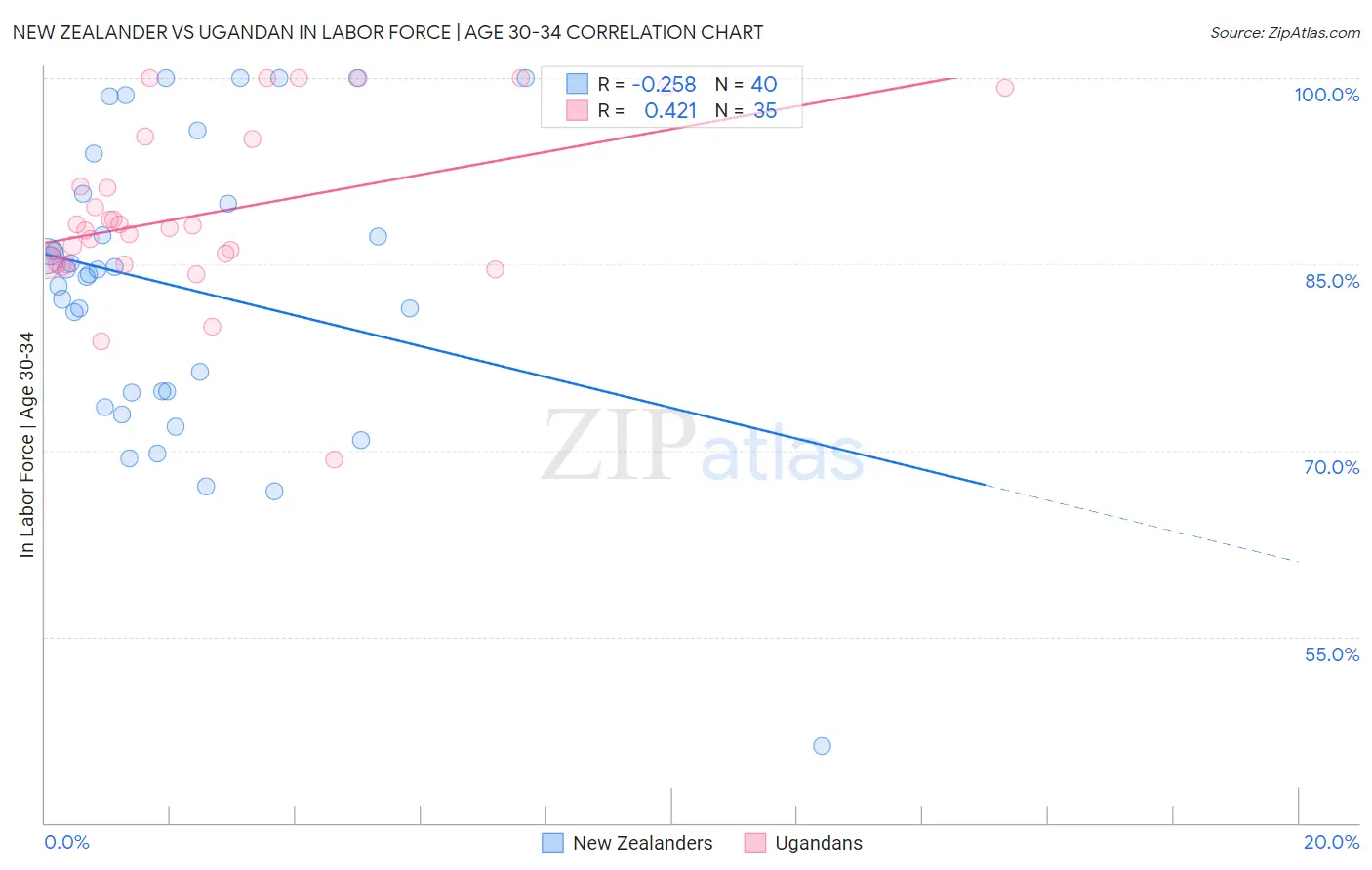 New Zealander vs Ugandan In Labor Force | Age 30-34