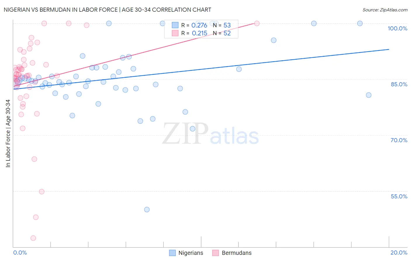 Nigerian vs Bermudan In Labor Force | Age 30-34