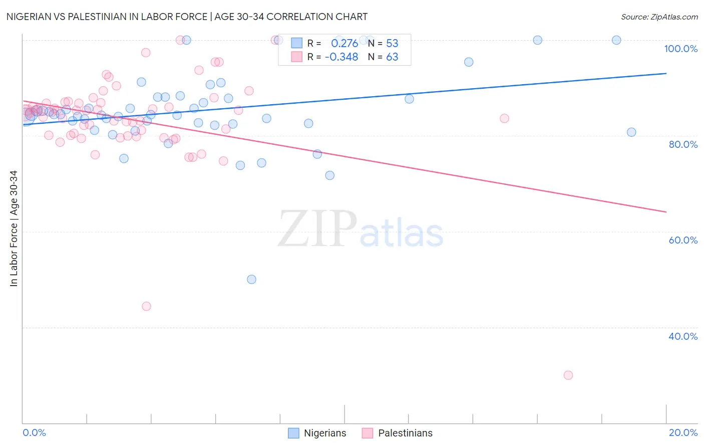 Nigerian vs Palestinian In Labor Force | Age 30-34