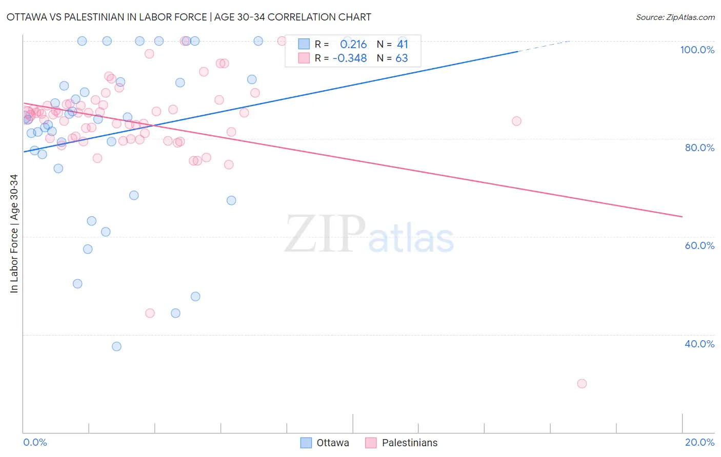 Ottawa vs Palestinian In Labor Force | Age 30-34