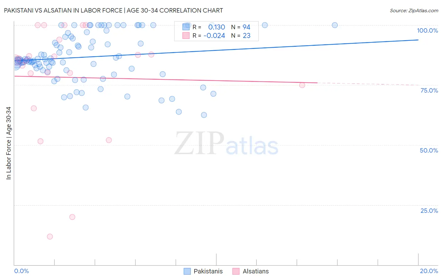Pakistani vs Alsatian In Labor Force | Age 30-34