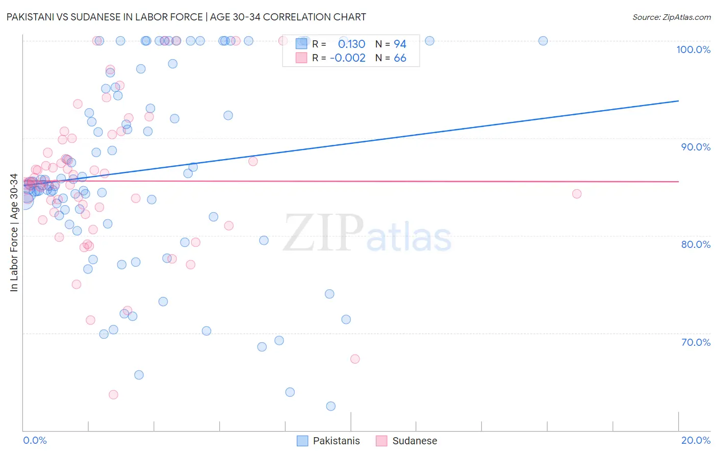 Pakistani vs Sudanese In Labor Force | Age 30-34