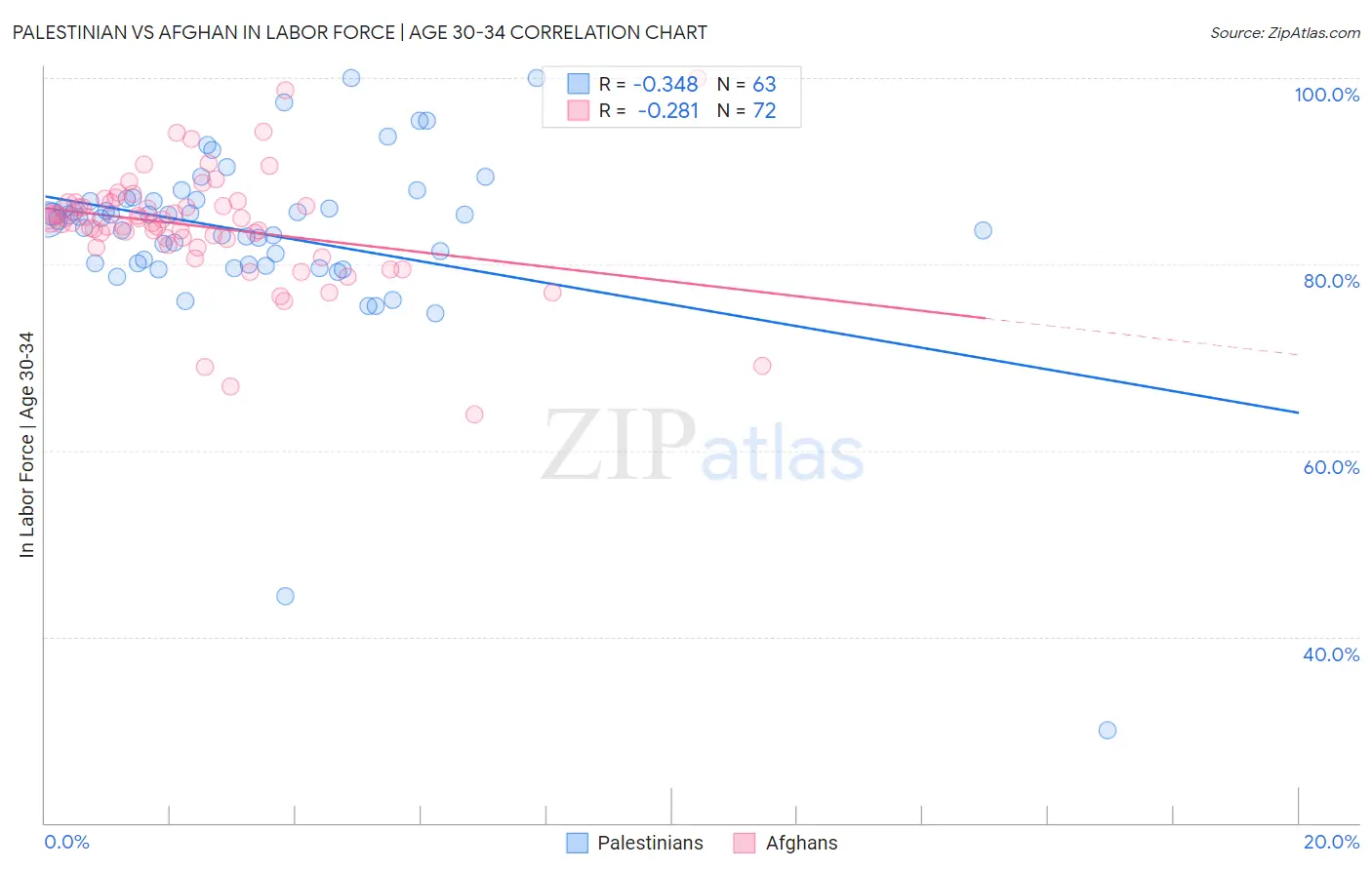 Palestinian vs Afghan In Labor Force | Age 30-34