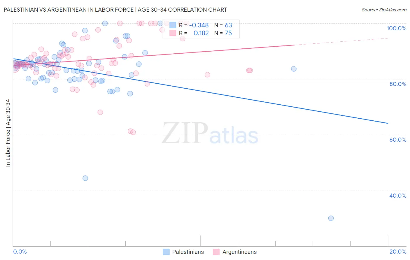 Palestinian vs Argentinean In Labor Force | Age 30-34