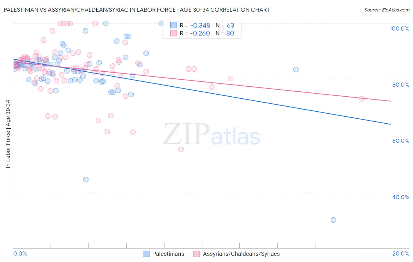 Palestinian vs Assyrian/Chaldean/Syriac In Labor Force | Age 30-34