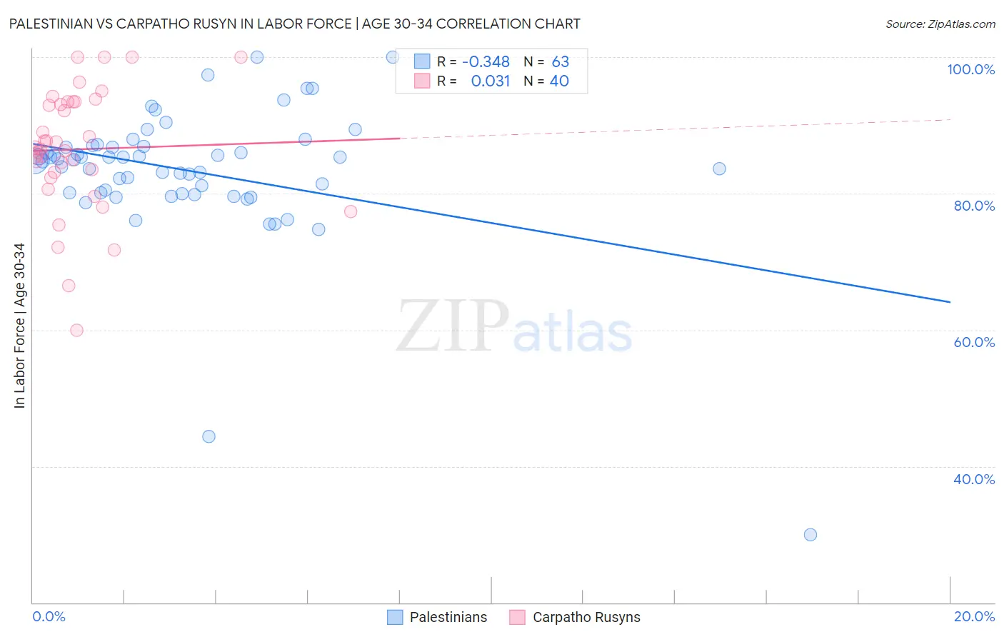 Palestinian vs Carpatho Rusyn In Labor Force | Age 30-34