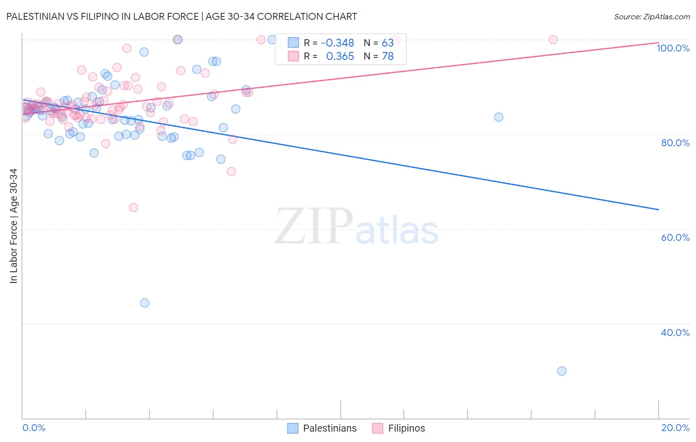 Palestinian vs Filipino In Labor Force | Age 30-34