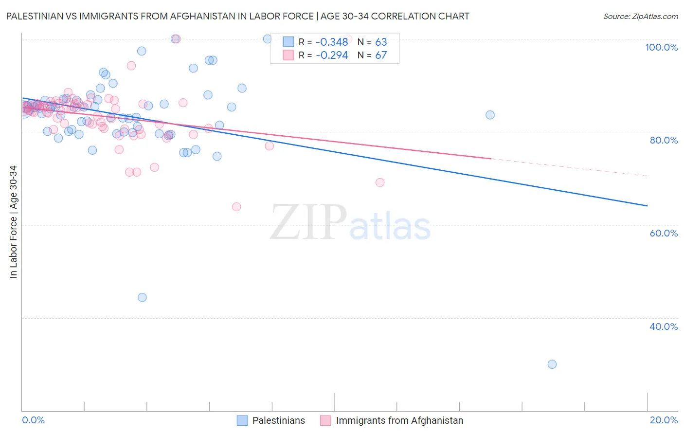 Palestinian vs Immigrants from Afghanistan In Labor Force | Age 30-34