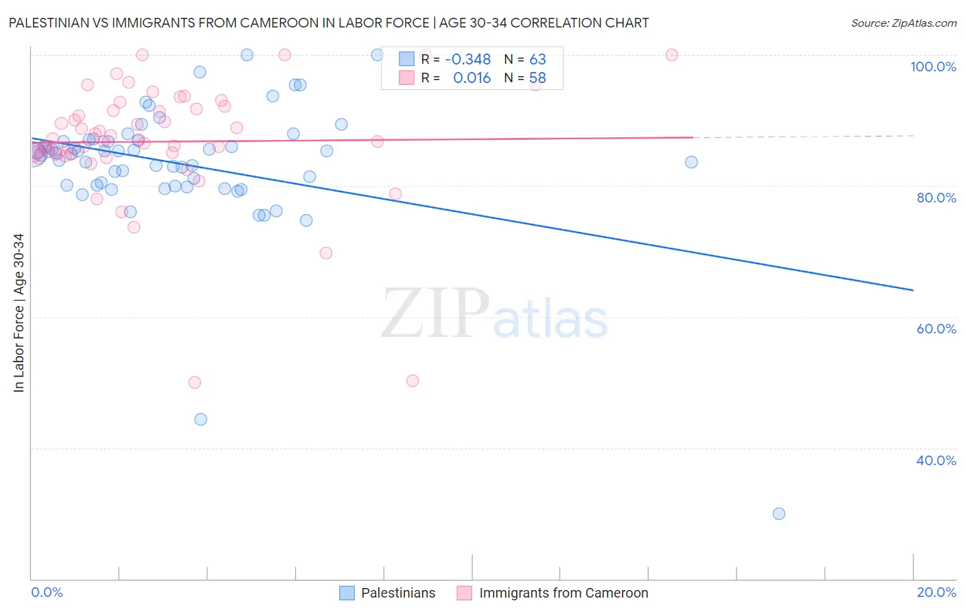 Palestinian vs Immigrants from Cameroon In Labor Force | Age 30-34