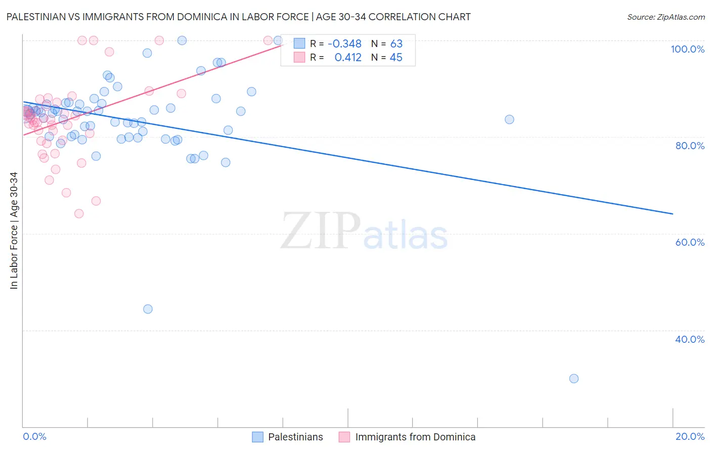 Palestinian vs Immigrants from Dominica In Labor Force | Age 30-34