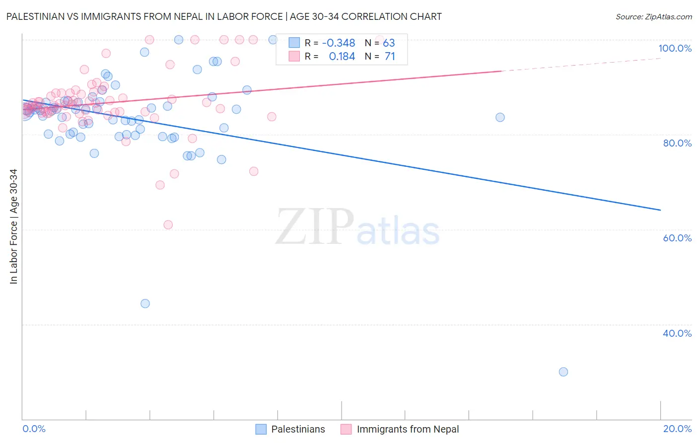 Palestinian vs Immigrants from Nepal In Labor Force | Age 30-34