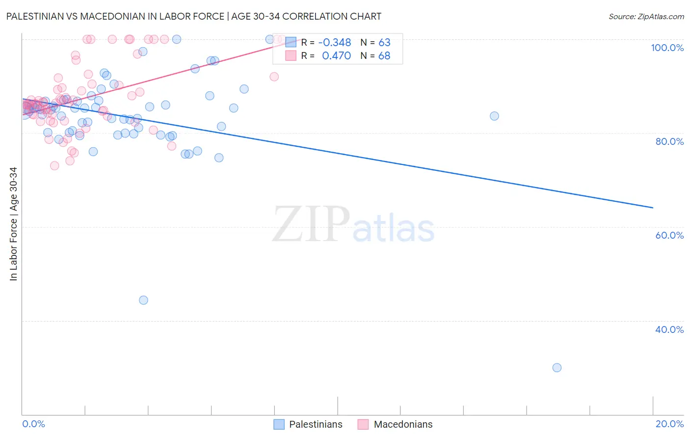 Palestinian vs Macedonian In Labor Force | Age 30-34