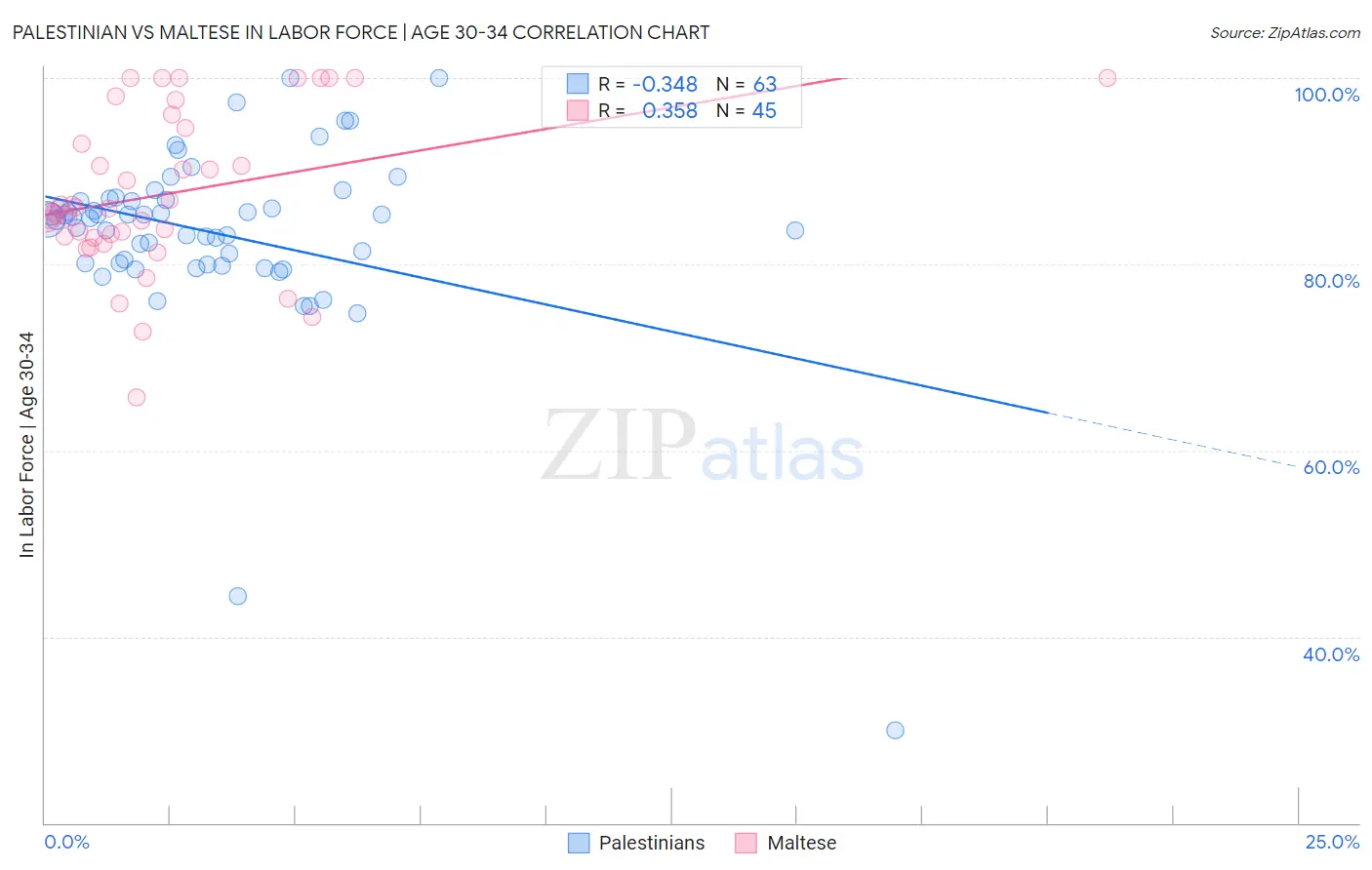 Palestinian vs Maltese In Labor Force | Age 30-34