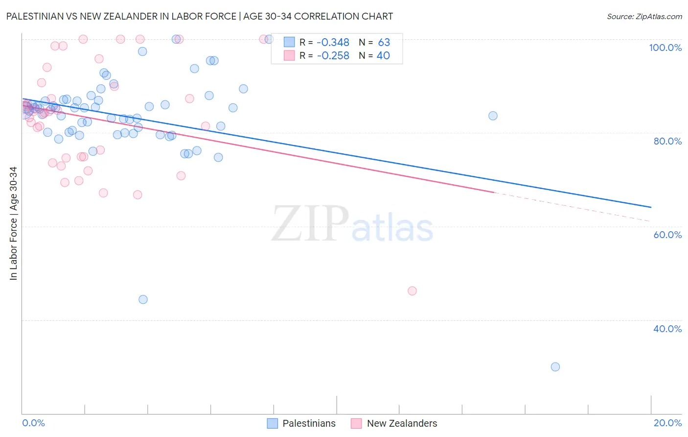 Palestinian vs New Zealander In Labor Force | Age 30-34