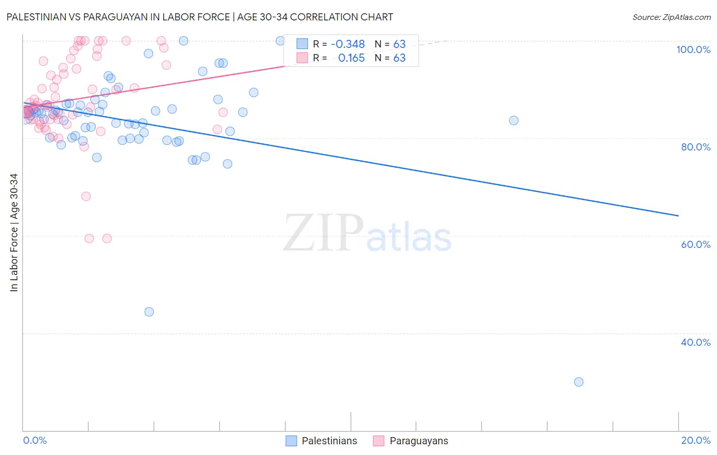 Palestinian vs Paraguayan In Labor Force | Age 30-34