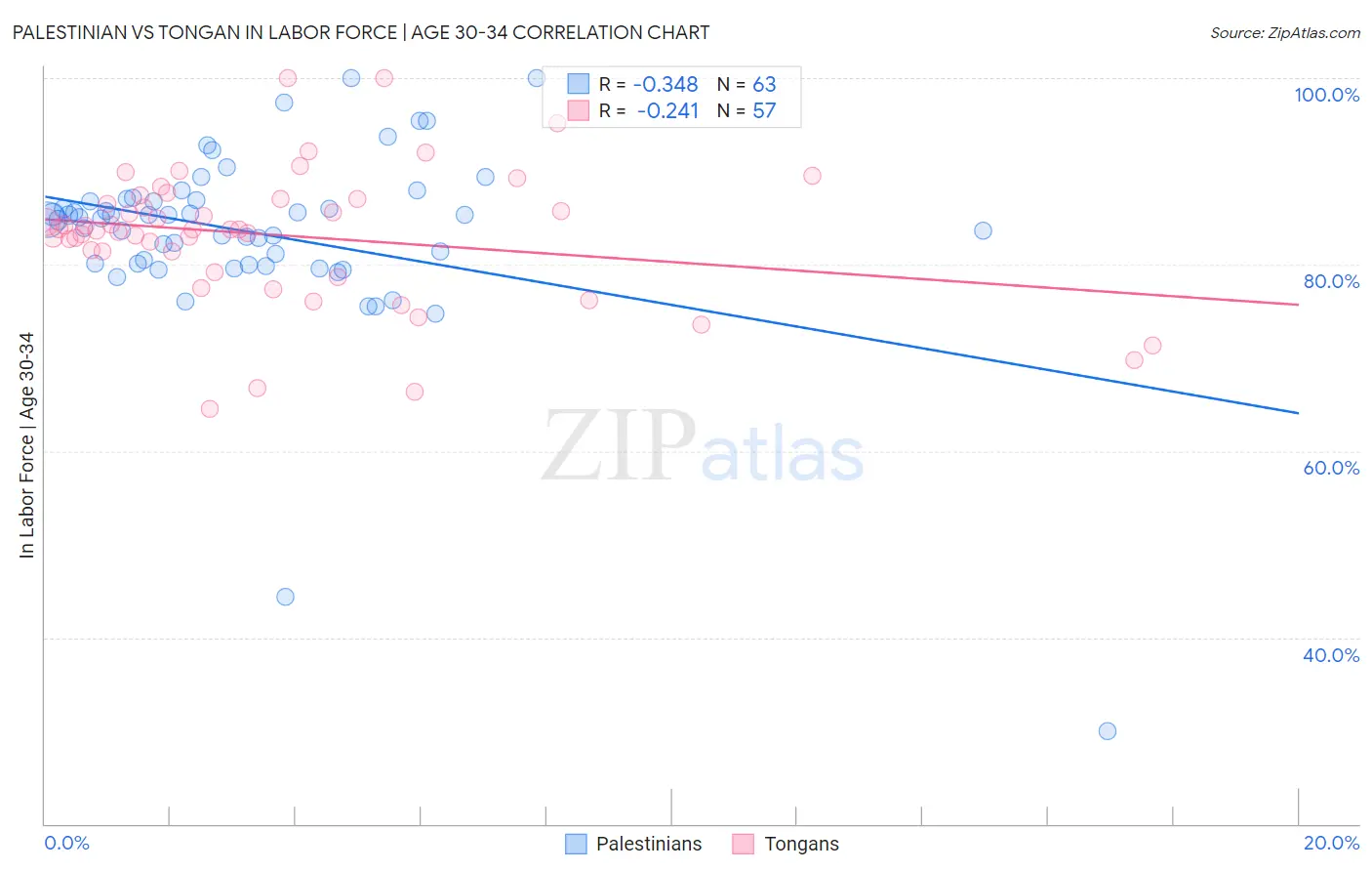 Palestinian vs Tongan In Labor Force | Age 30-34