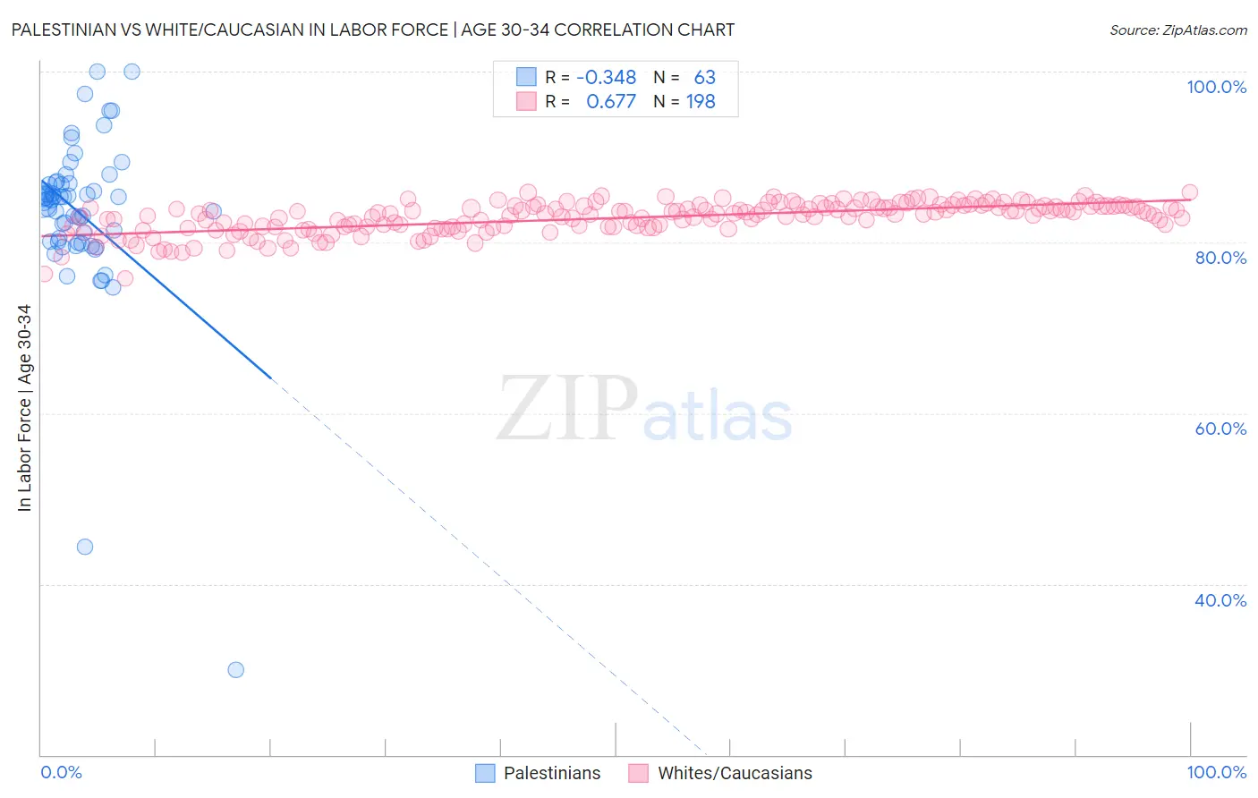 Palestinian vs White/Caucasian In Labor Force | Age 30-34