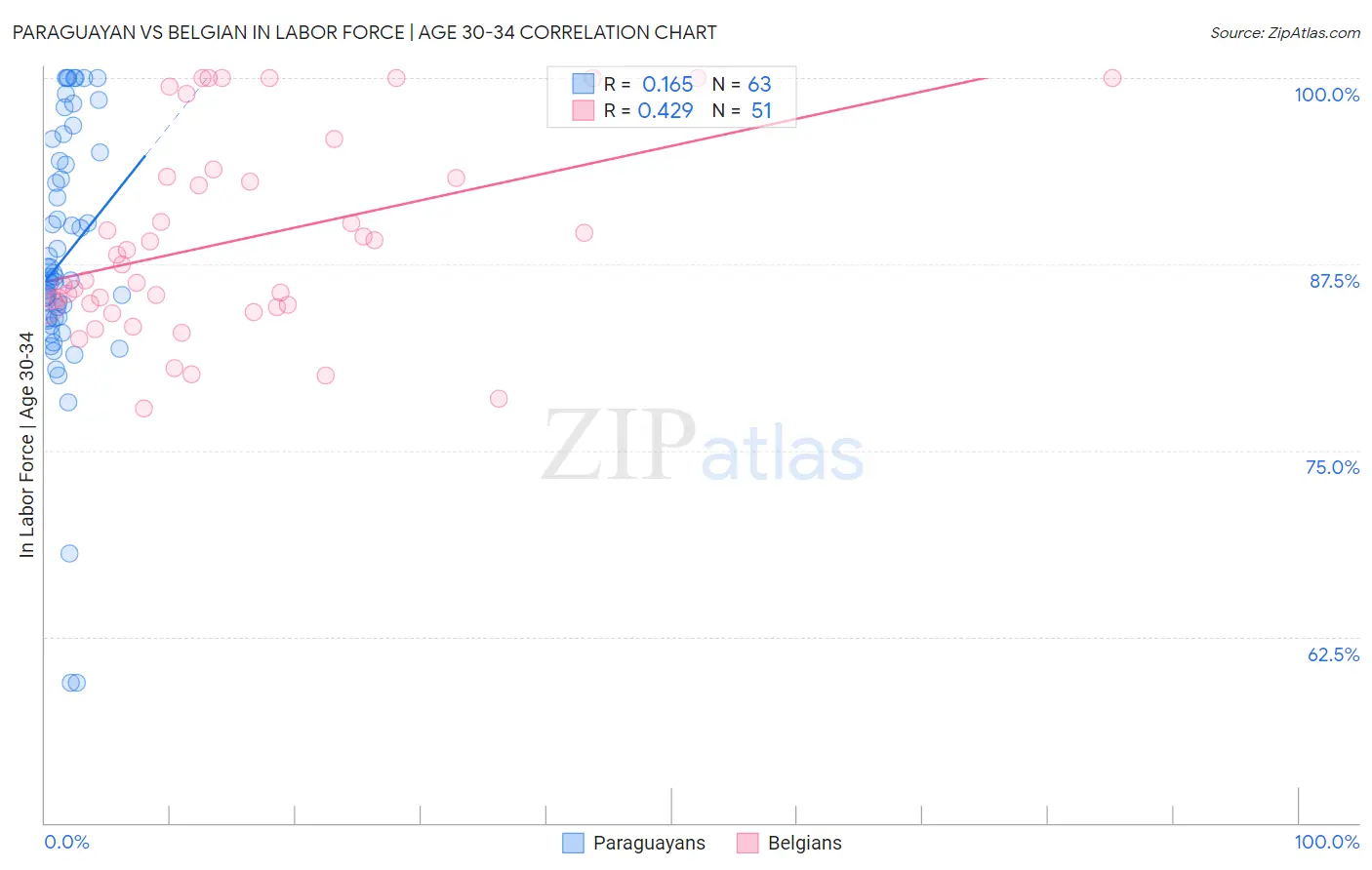 Paraguayan vs Belgian In Labor Force | Age 30-34