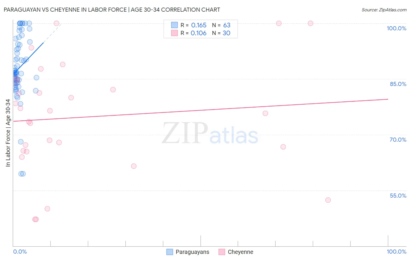 Paraguayan vs Cheyenne In Labor Force | Age 30-34