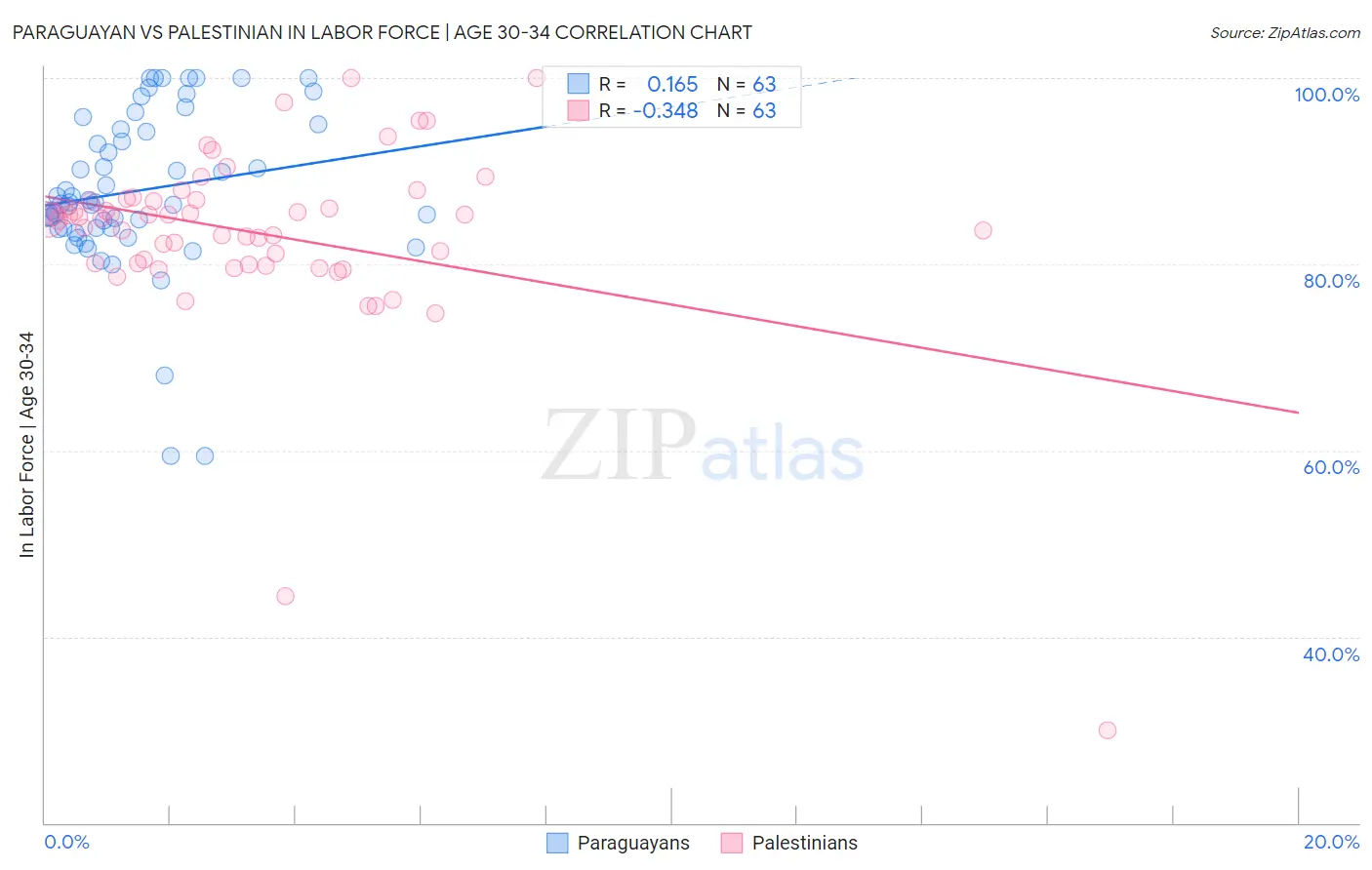 Paraguayan vs Palestinian In Labor Force | Age 30-34