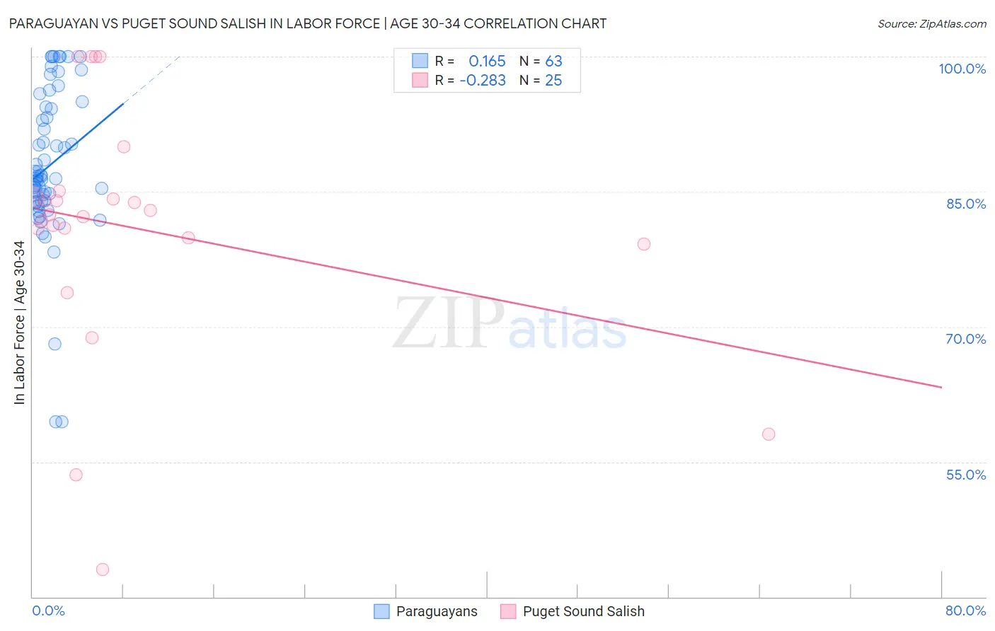 Paraguayan vs Puget Sound Salish In Labor Force | Age 30-34